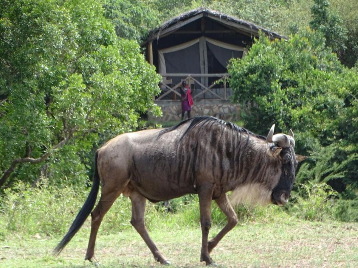 Fig Tree Camp - Maasai Mara Hotel Talek Екстериор снимка