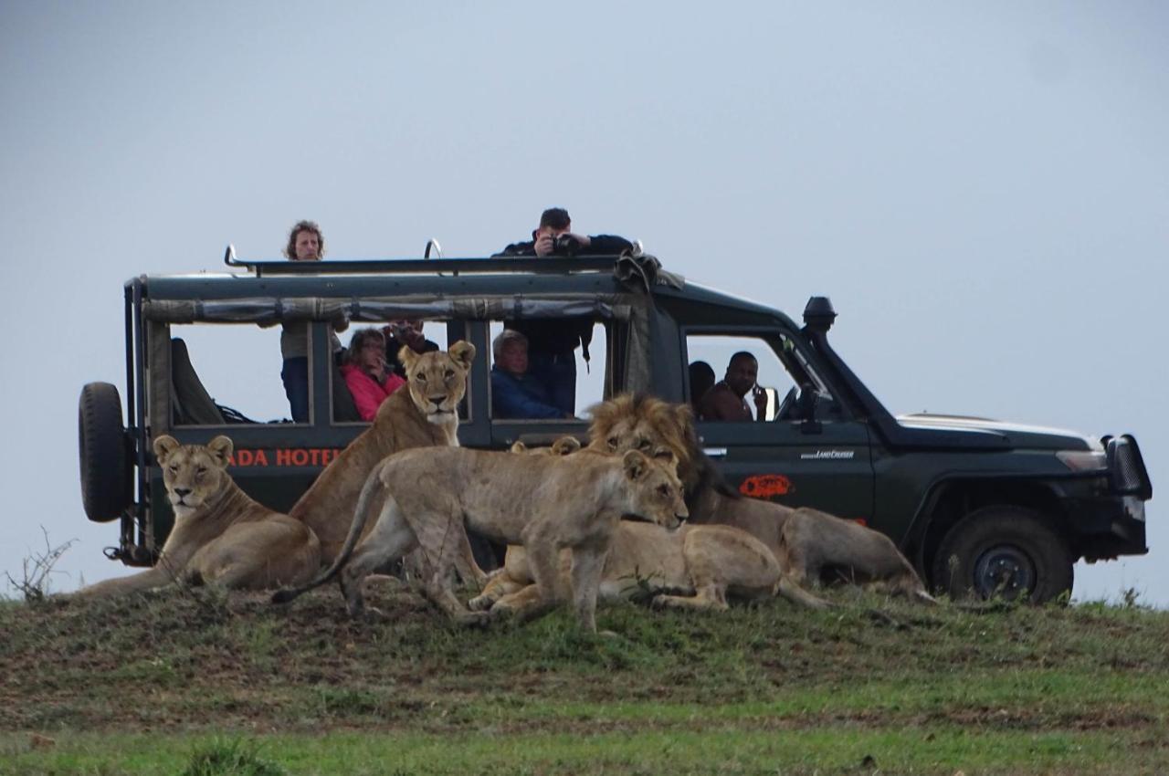 Fig Tree Camp - Maasai Mara Hotel Talek Екстериор снимка